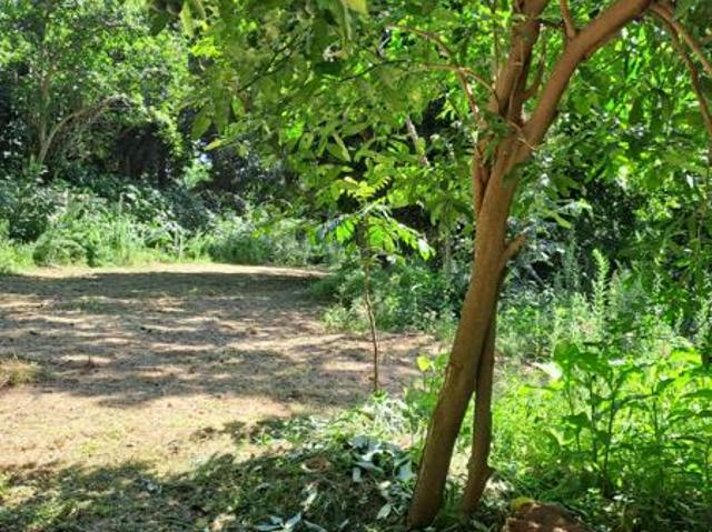 1.2 ha Land available in Pennington