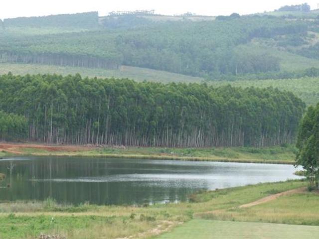 1.2 ha Land available in White River Central