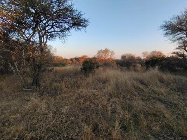 1.2 ha Land available in Thabazimbi