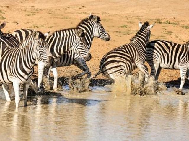 1.2 ha Land available in Vaal Marina
