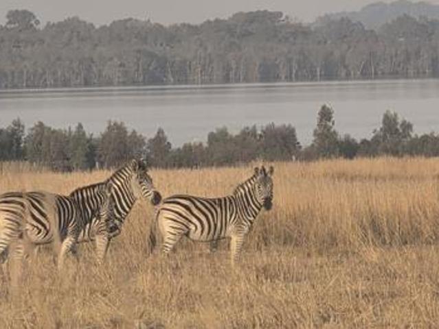 1.2 ha Land available in Vaal Marina