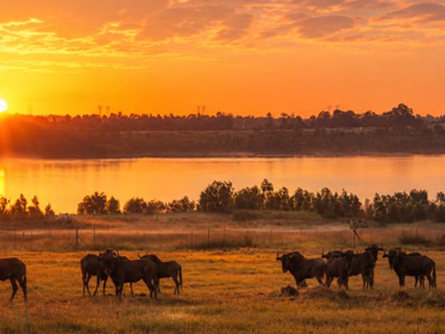 1.2 ha Land available in Vaal Marina