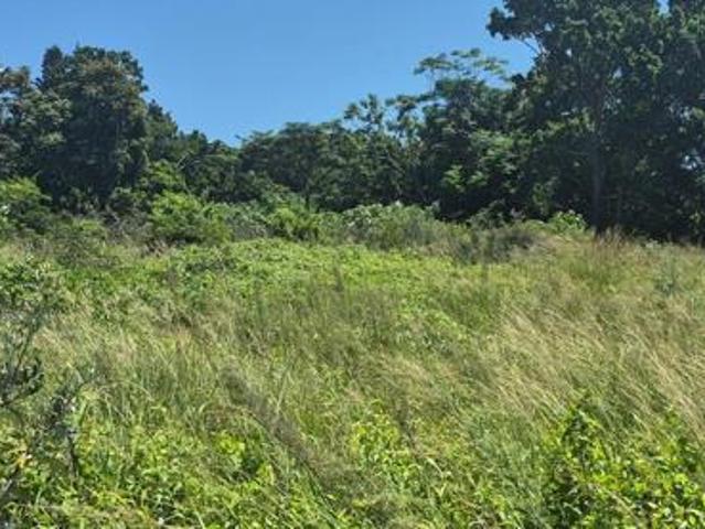 1 341 m² Land available in Woodgrange