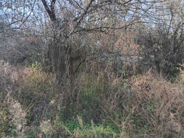 1 347 m² Land available in Vaaloewer