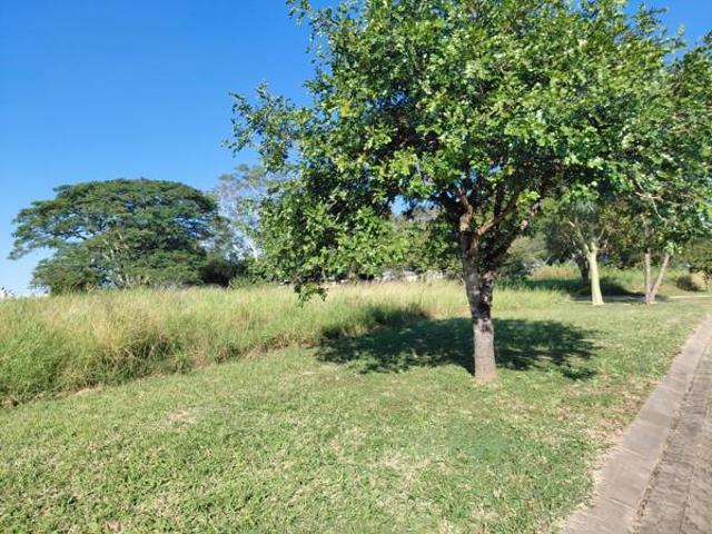 1 348 m² Land available in Sabie River Eco Estate