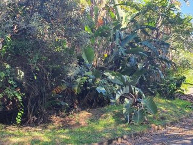 1 349 m² Land available in Palm Beach