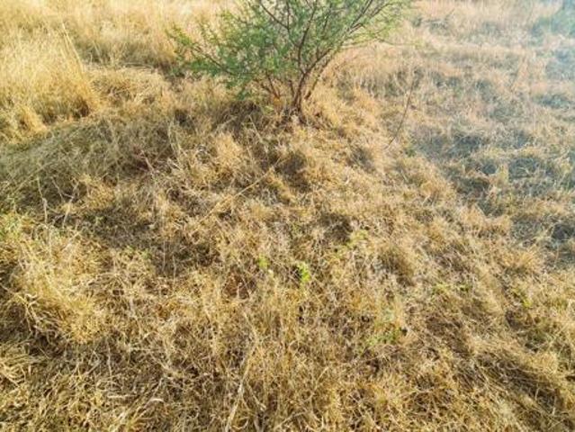 1 350 m² Land available in Bendor