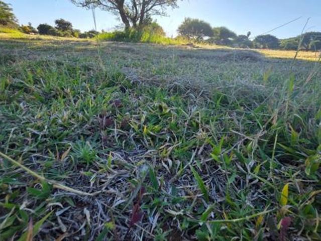 1 350 m² Land available in Bendor