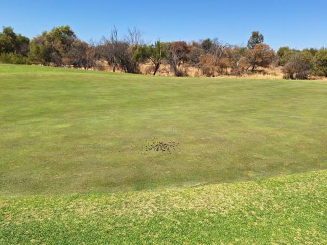1 350 m² Land available in Koro Creek Golf Estate