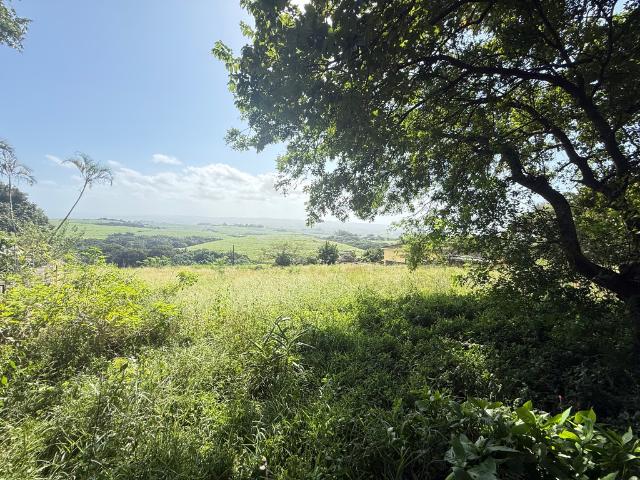 1,350m² Vacant Land For Sale in Mtunzini