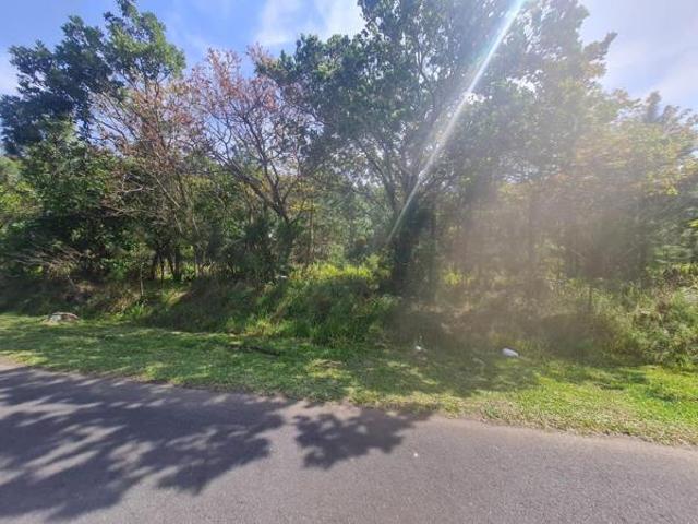 1 351 m² Land available in Palm Beach