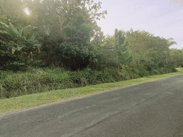 1 351 m² Land available in Palm Beach