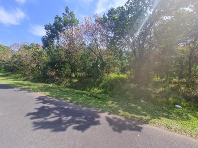 1 351 m² Land available in Palm Beach