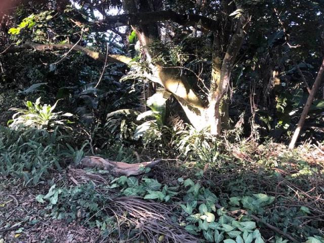 1 360 m² Land available in Leisure Bay