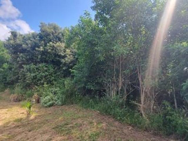 1 369 m² Land available in Woodgrange