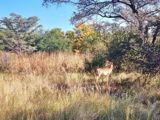 1 373 m² Land available in Koro Creek Golf Estate