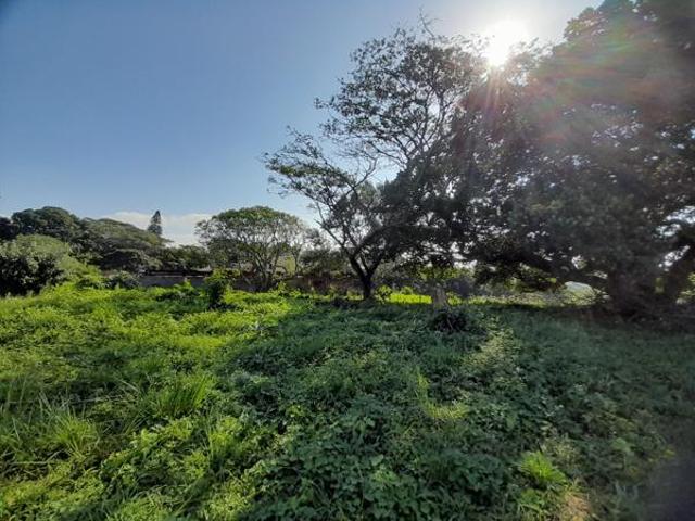 1 370 m² Land available in Hibberdene
