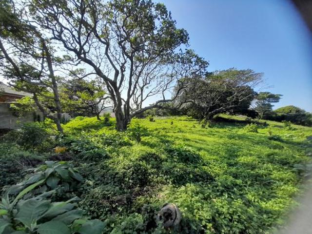 1 370 m² Land available in Hibberdene