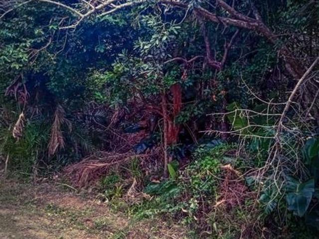 1 370 m² Land available in Palm Beach