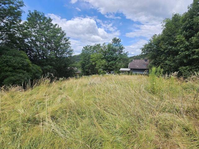 1.380 m² Sonnengrund in Kreuth/Pischeldorf/Poggersdorf!