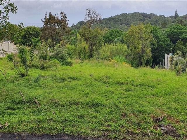 1 382 m² Land available in Palm Beach