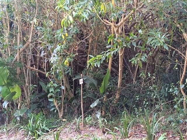 1 387 m² Land available in Woodgrange