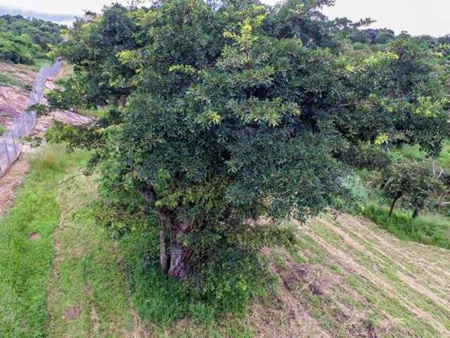 1 384 m² Land available in Sonheuwel