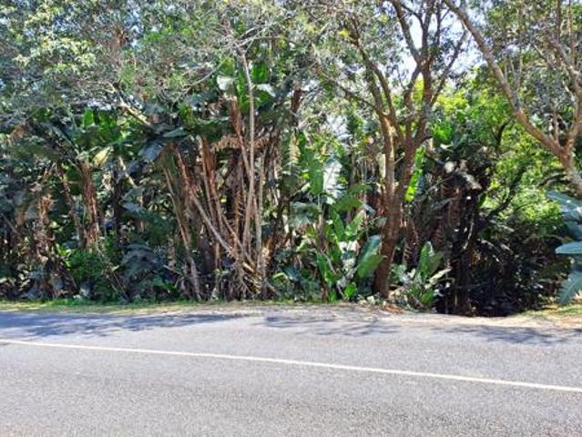 1 384 m² Land available in Trafalgar