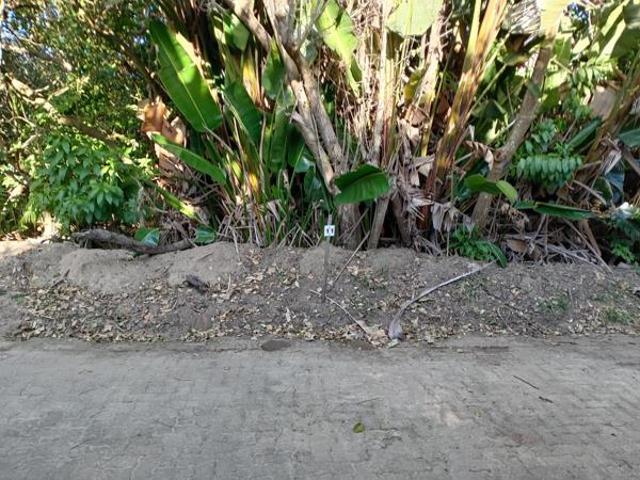 1 384 m² Land available in Woodgrange