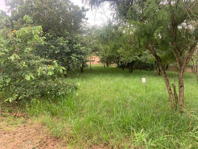 1 385 m² Land available in Drum Rock