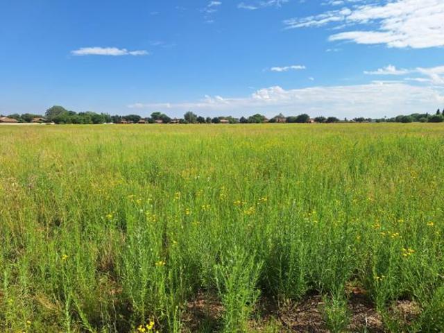1 386 m² Land available in Flamingo Park
