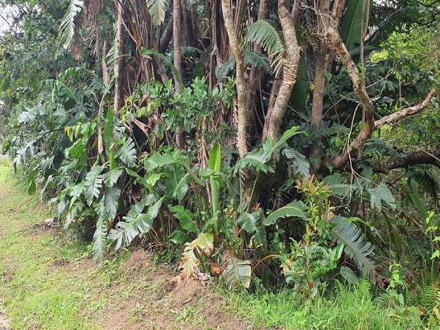 1 386 m² Land available in Palm Beach