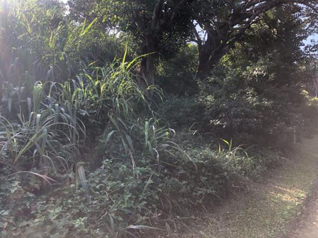 1 391 m² Land available in Palm Beach