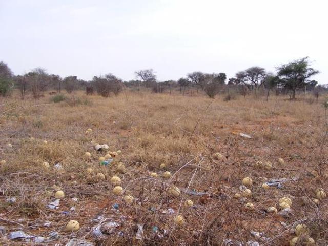 1 397 m² Land available in Lephalale Ellisras