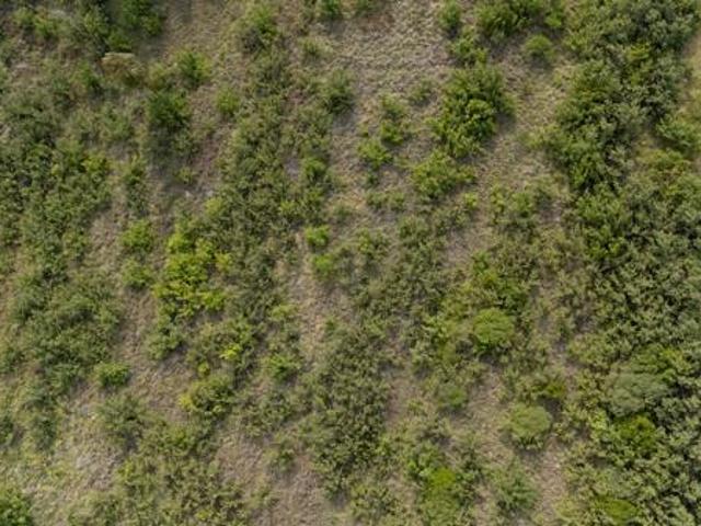 1 395 m² Land available in Clarens