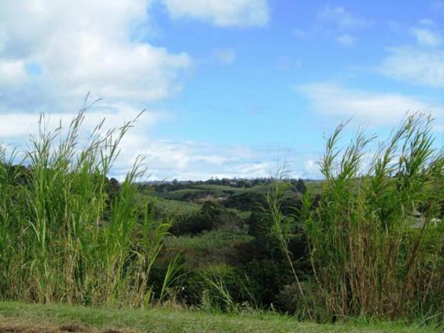 1 303 m² Land available in Saint Michaels on Sea