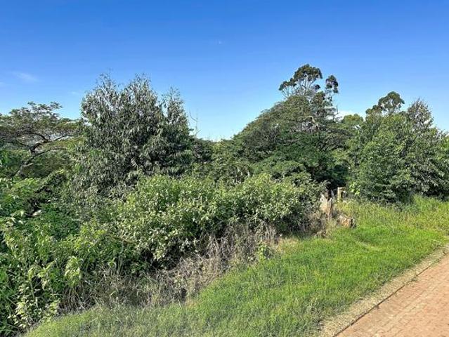 1 309 m² Land available in Port Zimbali