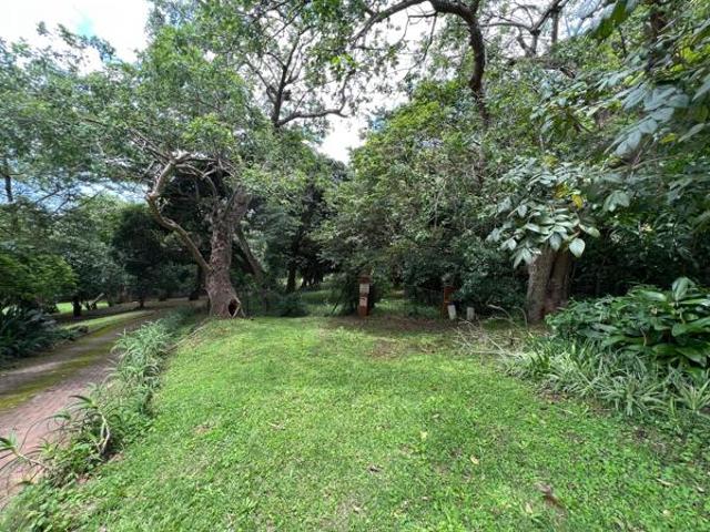 1 310 m² Land available in Mtunzini