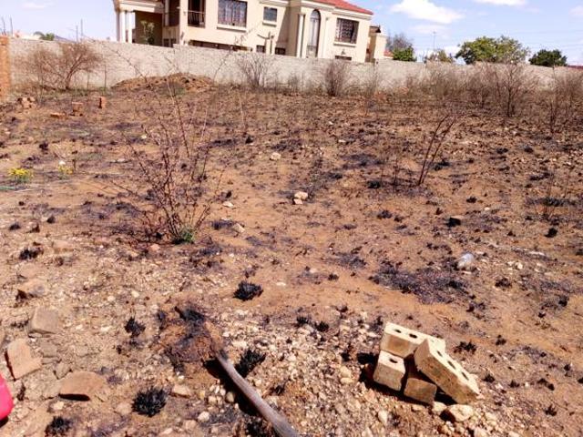 1 310 m² Land available in Serala View