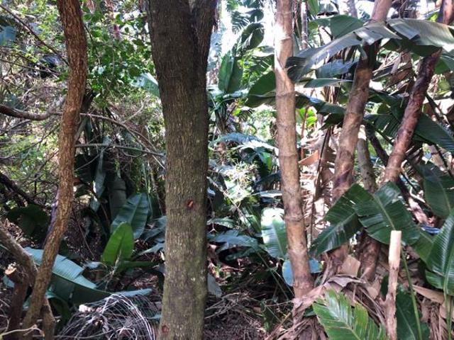 1 317 m² Land available in Trafalgar