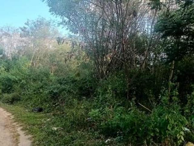 1 314 m² Land available in Mandeni