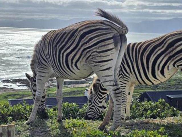 1 320 m² Land available in Gansbaai