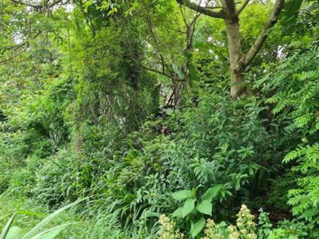 1 329 m² Land available in Trafalgar