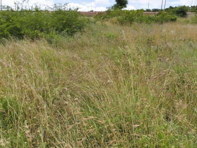 1 334 m² Land available in Flora Park