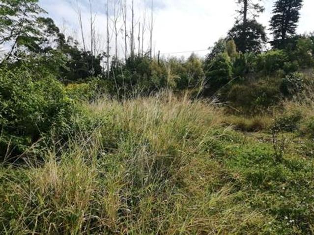 1 338 m² Land available in Margate