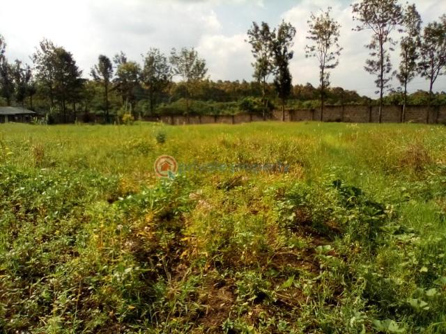 1.3 Acres Of Land For Sale In Karen Plains