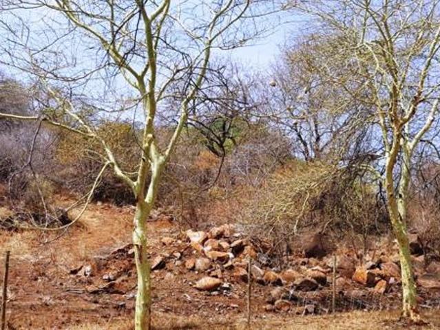 1.3 ha Land available in Elandsrand