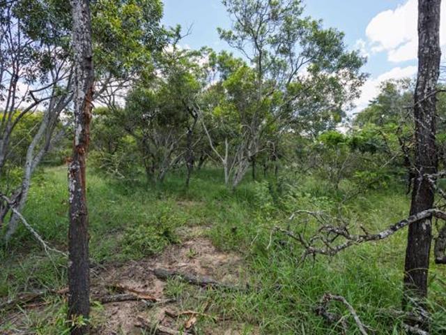 1.3 ha Land available in Moditlo Wildlife Estate