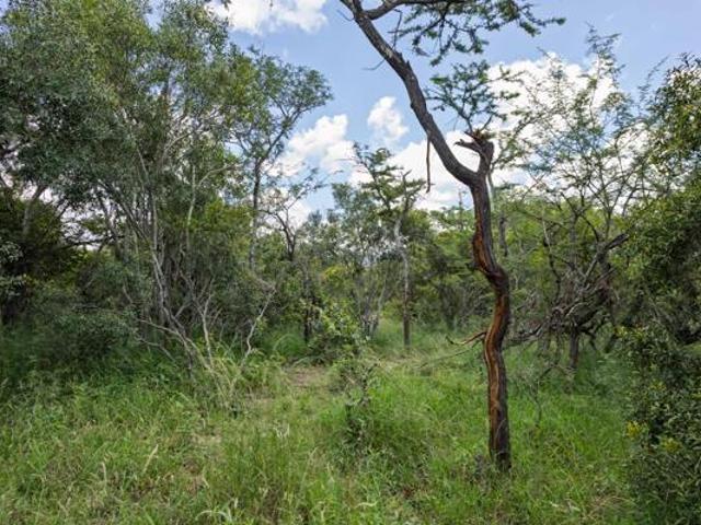 1.3 ha Land available in Moditlo Wildlife Estate