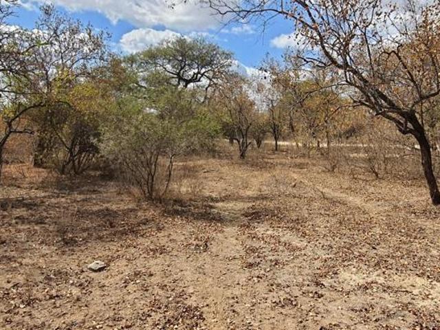 1.3 ha Land available in Raptors View Wildlife Estate